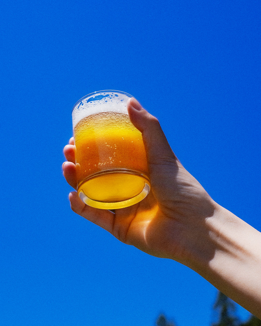 SORGAM BEER