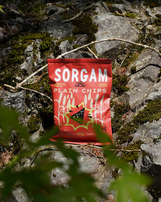 SORGAM CHIPS